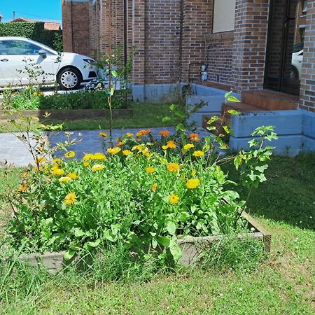 Casa Grande Con Jardin Villa Santa Cruz De Bezana Buitenkant foto