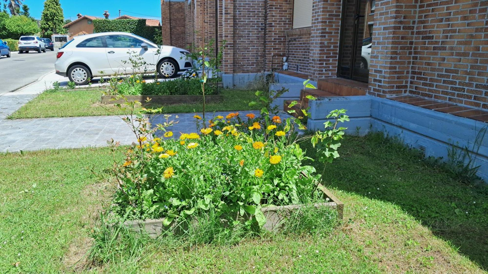 Casa Grande Con Jardin Villa Santa Cruz De Bezana Buitenkant foto